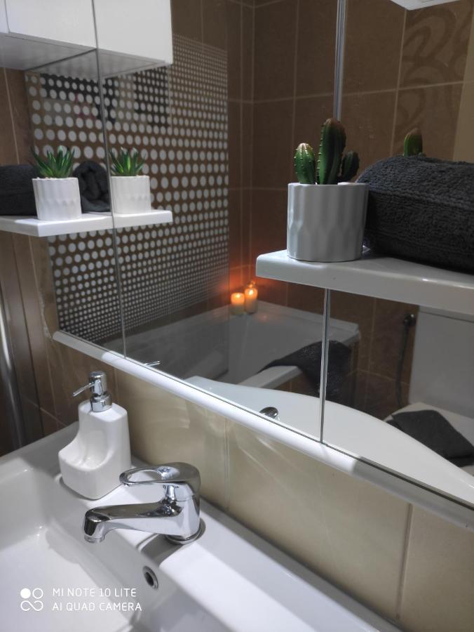 Kuca Vila Idila Vrsac Extérieur photo
