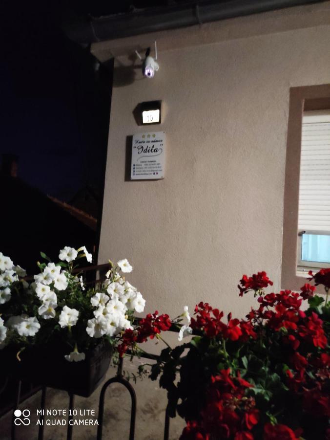 Kuca Vila Idila Vrsac Extérieur photo
