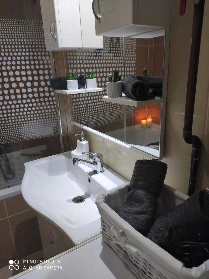 Kuca Vila Idila Vrsac Extérieur photo