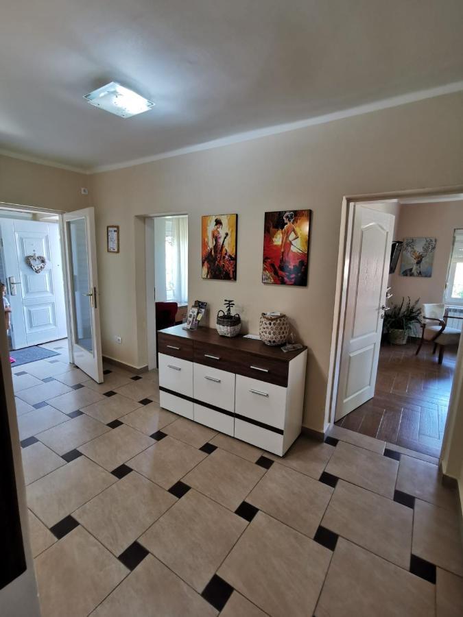 Kuca Vila Idila Vrsac Extérieur photo