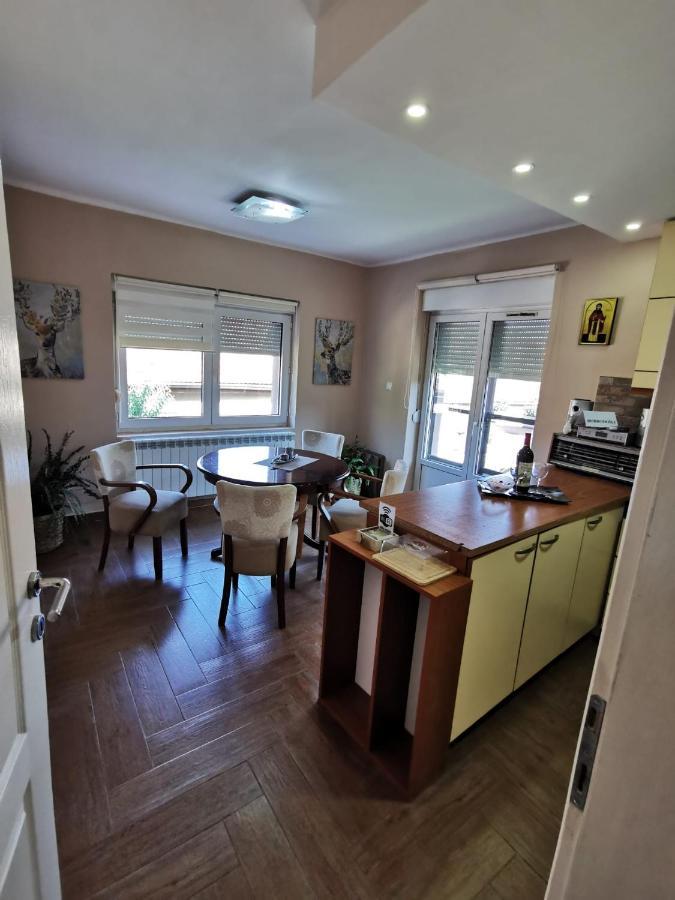 Kuca Vila Idila Vrsac Extérieur photo